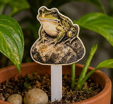 Funny Whimsical Plant Stakes, Markers for Houseplants, Frog, Mushroom, Raccoon, Snail, Turtle, Botanical Garden Stakes
