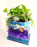 Crumpled Shopping Bag Planter – 3D Printed PETG Flower Pot with Drainage