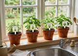 Garden Stakes, Herb Markers, Weatherproof UV Cured ink, Durable Unique Plant Labels, Unique Garden Gift,