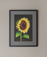 Poster Print Bright Sunny Sunflower Varied Sizes from Original Art Painting by Rosie Wylder