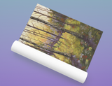 Poster Print Sunset Forest Large 16 x 20  Fine Art PRINT of palette knife painting by Rosie Wylder Free Shipping U.S.